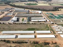 Drone flyover of Moxey Dairy - Moxey Farms is the first and largest property operated by Australian Fresh Milk Holdings (AFMH). It is also the largest single-site dairy in the country, housing and milking thousands of cows across nine freestall barns and three milking parlours, plus a maternity shed, feed centre and hospital. AFMH is the country's biggest dairy farming operator.
At any given time, Moxey Dairy houses 11,000 cows and is milking 5,500 of those cows each day, producing 40 litres of milk per cow per day. Annually, the farm produces 80 million litres of milk, or 220,000 litres per day.
- Captured at Moxey Dairy, Paytens Bridge NSW Australia.