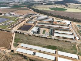 Drone flyover of Moxey Dairy - Moxey Farms is the first and largest property operated by Australian Fresh Milk Holdings (AFMH). It is also the largest single-site dairy in the country, housing and milking thousands of cows across nine freestall barns and three milking parlours, plus a maternity shed, feed centre and hospital. AFMH is the country's biggest dairy farming operator. 

At any given time, Moxey Dairy houses 11,000 cows and is milking 5,500 of those cows each day, producing 40 litres of milk per cow per day. Annually, the farm produces 80 million litres of milk, or 220,000 litres per day. 
 - Captured at Moxey Dairy, Paytens Bridge NSW Australia.