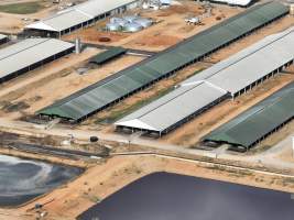 Drone flyover of Moxey Dairy - Moxey Farms is the first and largest property operated by Australian Fresh Milk Holdings (AFMH). It is also the largest single-site dairy in the country, housing and milking thousands of cows across nine freestall barns and three milking parlours, plus a maternity shed, feed centre and hospital. AFMH is the country's biggest dairy farming operator.
At any given time, Moxey Dairy houses 11,000 cows and is milking 5,500 of those cows each day, producing 40 litres of milk per cow per day. Annually, the farm produces 80 million litres of milk, or 220,000 litres per day.
- Captured at Moxey Dairy, Paytens Bridge NSW Australia.