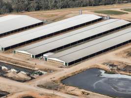 Drone flyover of Moxey Dairy - Moxey Farms is the first and largest property operated by Australian Fresh Milk Holdings (AFMH). It is also the largest single-site dairy in the country, housing and milking thousands of cows across nine freestall barns and three milking parlours, plus a maternity shed, feed centre and hospital. AFMH is the country's biggest dairy farming operator.
At any given time, Moxey Dairy houses 11,000 cows and is milking 5,500 of those cows each day, producing 40 litres of milk per cow per day. Annually, the farm produces 80 million litres of milk, or 220,000 litres per day.
- Captured at Moxey Dairy, Paytens Bridge NSW Australia.