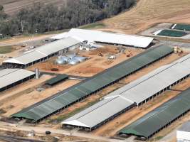 Drone flyover of Moxey Dairy - Moxey Farms is the first and largest property operated by Australian Fresh Milk Holdings (AFMH). It is also the largest single-site dairy in the country, housing and milking thousands of cows across nine freestall barns and three milking parlours, plus a maternity shed, feed centre and hospital. AFMH is the country's biggest dairy farming operator.
At any given time, Moxey Dairy houses 11,000 cows and is milking 5,500 of those cows each day, producing 40 litres of milk per cow per day. Annually, the farm produces 80 million litres of milk, or 220,000 litres per day.
- Captured at Moxey Dairy, Paytens Bridge NSW Australia.