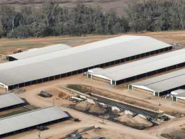 Drone flyover of Moxey Dairy - Moxey Farms is the first and largest property operated by Australian Fresh Milk Holdings (AFMH). It is also the largest single-site dairy in the country, housing and milking thousands of cows across nine freestall barns and three milking parlours, plus a maternity shed, feed centre and hospital. AFMH is the country's biggest dairy farming operator.
At any given time, Moxey Dairy houses 11,000 cows and is milking 5,500 of those cows each day, producing 40 litres of milk per cow per day. Annually, the farm produces 80 million litres of milk, or 220,000 litres per day.
- Captured at Moxey Dairy, Paytens Bridge NSW Australia.