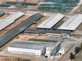 Drone flyover of Moxey Dairy - Moxey Farms is the first and largest property operated by Australian Fresh Milk Holdings (AFMH). It is also the largest single-site dairy in the country, housing and milking thousands of cows across nine freestall barns and three milking parlours, plus a maternity shed, feed centre and hospital. AFMH is the country's biggest dairy farming operator.
At any given time, Moxey Dairy houses 11,000 cows and is milking 5,500 of those cows each day, producing 40 litres of milk per cow per day. Annually, the farm produces 80 million litres of milk, or 220,000 litres per day.
- Captured at Moxey Dairy, Paytens Bridge NSW Australia.