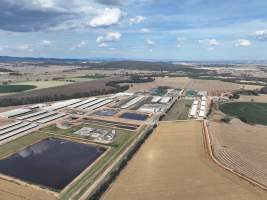 Drone flyover of Moxey Dairy - Moxey Farms is the first and largest property operated by Australian Fresh Milk Holdings (AFMH). It is also the largest single-site dairy in the country, housing and milking thousands of cows across nine freestall barns and three milking parlours, plus a maternity shed, feed centre and hospital. AFMH is the country's biggest dairy farming operator.
At any given time, Moxey Dairy houses 11,000 cows and is milking 5,500 of those cows each day, producing 40 litres of milk per cow per day. Annually, the farm produces 80 million litres of milk, or 220,000 litres per day.
- Captured at Moxey Dairy, Paytens Bridge NSW Australia.