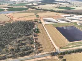 Drone flyover of Moxey Dairy - Moxey Farms is the first and largest property operated by Australian Fresh Milk Holdings (AFMH). It is also the largest single-site dairy in the country, housing and milking thousands of cows across nine freestall barns and three milking parlours, plus a maternity shed, feed centre and hospital. AFMH is the country's biggest dairy farming operator.
At any given time, Moxey Dairy houses 11,000 cows and is milking 5,500 of those cows each day, producing 40 litres of milk per cow per day. Annually, the farm produces 80 million litres of milk, or 220,000 litres per day.
- Captured at Moxey Dairy, Paytens Bridge NSW Australia.