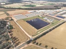 Drone flyover of Moxey Dairy - Moxey Farms is the first and largest property operated by Australian Fresh Milk Holdings (AFMH). It is also the largest single-site dairy in the country, housing and milking thousands of cows across nine freestall barns and three milking parlours, plus a maternity shed, feed centre and hospital. AFMH is the country's biggest dairy farming operator.
At any given time, Moxey Dairy houses 11,000 cows and is milking 5,500 of those cows each day, producing 40 litres of milk per cow per day. Annually, the farm produces 80 million litres of milk, or 220,000 litres per day.
- Captured at Moxey Dairy, Paytens Bridge NSW Australia.