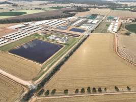Drone flyover of Moxey Dairy - Moxey Farms is the first and largest property operated by Australian Fresh Milk Holdings (AFMH). It is also the largest single-site dairy in the country, housing and milking thousands of cows across nine freestall barns and three milking parlours, plus a maternity shed, feed centre and hospital. AFMH is the country's biggest dairy farming operator.
At any given time, Moxey Dairy houses 11,000 cows and is milking 5,500 of those cows each day, producing 40 litres of milk per cow per day. Annually, the farm produces 80 million litres of milk, or 220,000 litres per day.
- Captured at Moxey Dairy, Paytens Bridge NSW Australia.