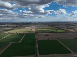 Drone flyover - AFMH Coomboona (breeding) - Located 30km northwest of Shepparton, Coomboona Farms is AFMH's first Victorian dairy property. Coomboona was formerly owned by billionaire Gerry Harvey, before being bought by AFMH, which is a partnership between the Moxey and Perick families.
The property has the capacity to milk over 2500 cows, and produce 30 million litres of milk annually. Cows are housed in freestall barns and milked in a commercial rotary dairy. The dairy is split between two locations, with one acting as a breeding, maternity and nursing facility and the other housing milking cows.
- Captured at AFMH Coomboona Farms Module 2 (Breeding), Coomboona VIC Australia.