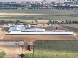 Drone flyover - AFMH Coomboona (breeding) - Located 30km northwest of Shepparton, Coomboona Farms is AFMH's first Victorian dairy property. Coomboona was formerly owned by billionaire Gerry Harvey, before being bought by AFMH, which is a partnership between the Moxey and Perick families.
The property has the capacity to milk over 2500 cows, and produce 30 million litres of milk annually. Cows are housed in freestall barns and milked in a commercial rotary dairy. The dairy is split between two locations, with one acting as a breeding, maternity and nursing facility and the other housing milking cows. - Captured at AFMH Coomboona Farms Module 2 (Breeding), Coomboona VIC Australia.
