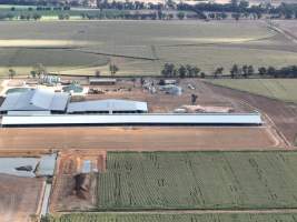 Drone flyover - AFMH Coomboona (breeding) - Located 30km northwest of Shepparton, Coomboona Farms is AFMH's first Victorian dairy property. Coomboona was formerly owned by billionaire Gerry Harvey, before being bought by AFMH, which is a partnership between the Moxey and Perick families.
The property has the capacity to milk over 2500 cows, and produce 30 million litres of milk annually. Cows are housed in freestall barns and milked in a commercial rotary dairy. The dairy is split between two locations, with one acting as a breeding, maternity and nursing facility and the other housing milking cows. - Captured at AFMH Coomboona Farms Module 2 (Breeding), Coomboona VIC Australia.