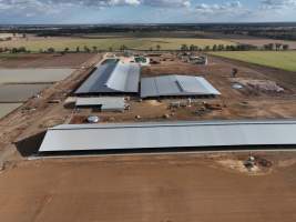 Drone flyover - AFMH Coomboona (breeding) - Located 30km northwest of Shepparton, Coomboona Farms is AFMH's first Victorian dairy property. Coomboona was formerly owned by billionaire Gerry Harvey, before being bought by AFMH, which is a partnership between the Moxey and Perick families.
The property has the capacity to milk over 2500 cows, and produce 30 million litres of milk annually. Cows are housed in freestall barns and milked in a commercial rotary dairy. The dairy is split between two locations, with one acting as a breeding, maternity and nursing facility and the other housing milking cows. - Captured at AFMH Coomboona Farms Module 2 (Breeding), Coomboona VIC Australia.