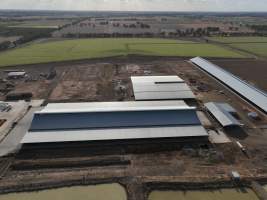 Drone flyover - AFMH Coomboona (breeding) - Located 30km northwest of Shepparton, Coomboona Farms is AFMH's first Victorian dairy property. Coomboona was formerly owned by billionaire Gerry Harvey, before being bought by AFMH, which is a partnership between the Moxey and Perick families.
The property has the capacity to milk over 2500 cows, and produce 30 million litres of milk annually. Cows are housed in freestall barns and milked in a commercial rotary dairy. The dairy is split between two locations, with one acting as a breeding, maternity and nursing facility and the other housing milking cows. - Captured at AFMH Coomboona Farms Module 2 (Breeding), Coomboona VIC Australia.