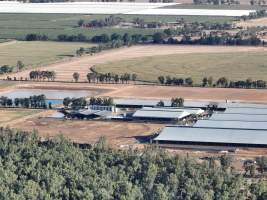 Drone Flyover - AFMH Coomboona (milking) - Located 30km northwest of Shepparton, Coomboona Farms is AFMH's first Victorian dairy property. Coomboona was formerly owned by billionaire Gerry Harvey, before being bought by AFMH, which is a partnership between the Moxey and Perick families.
The property has the capacity to milk over 2500 cows, and produce 30 million litres of milk annually. Cows are housed in freestall barns and milked in a commercial rotary dairy. The dairy is split between two locations, with one acting as a breeding, maternity and nursing facility and the other housing milking cows. - Captured at AFMH Coomboona Farms - Module 1 (milking), Coomboona VIC Australia.