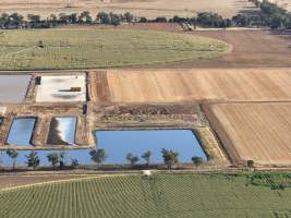 Drone Flyover - AFMH Coomboona (milking) - Located 30km northwest of Shepparton, Coomboona Farms is AFMH's first Victorian dairy property. Coomboona was formerly owned by billionaire Gerry Harvey, before being bought by AFMH, which is a partnership between the Moxey and Perick families.
The property has the capacity to milk over 2500 cows, and produce 30 million litres of milk annually. Cows are housed in freestall barns and milked in a commercial rotary dairy. The dairy is split between two locations, with one acting as a breeding, maternity and nursing facility and the other housing milking cows. - Captured at AFMH Coomboona Farms - Module 1 (milking), Coomboona VIC Australia.