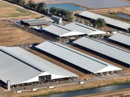Drone Flyover - AFMH Coomboona (milking) - Located 30km northwest of Shepparton, Coomboona Farms is AFMH's first Victorian dairy property. Coomboona was formerly owned by billionaire Gerry Harvey, before being bought by AFMH, which is a partnership between the Moxey and Perick families.
The property has the capacity to milk over 2500 cows, and produce 30 million litres of milk annually. Cows are housed in freestall barns and milked in a commercial rotary dairy. The dairy is split between two locations, with one acting as a breeding, maternity and nursing facility and the other housing milking cows. - Captured at AFMH Coomboona Farms - Module 1 (milking), Coomboona VIC Australia.