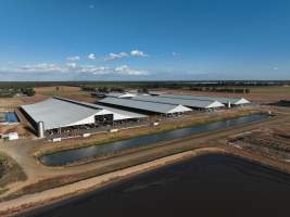 Drone Flyover - AFMH Coomboona (milking) - Located 30km northwest of Shepparton, Coomboona Farms is AFMH's first Victorian dairy property. Coomboona was formerly owned by billionaire Gerry Harvey, before being bought by AFMH, which is a partnership between the Moxey and Perick families.
The property has the capacity to milk over 2500 cows, and produce 30 million litres of milk annually. Cows are housed in freestall barns and milked in a commercial rotary dairy. The dairy is split between two locations, with one acting as a breeding, maternity and nursing facility and the other housing milking cows. - Captured at AFMH Coomboona Farms - Module 1 (milking), Coomboona VIC Australia.