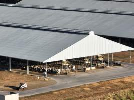 Drone Flyover - AFMH Coomboona (milking) - Located 30km northwest of Shepparton, Coomboona Farms is AFMH's first Victorian dairy property. Coomboona was formerly owned by billionaire Gerry Harvey, before being bought by AFMH, which is a partnership between the Moxey and Perick families.
The property has the capacity to milk over 2500 cows, and produce 30 million litres of milk annually. Cows are housed in freestall barns and milked in a commercial rotary dairy. The dairy is split between two locations, with one acting as a breeding, maternity and nursing facility and the other housing milking cows. - Captured at AFMH Coomboona Farms - Module 1 (milking), Coomboona VIC Australia.