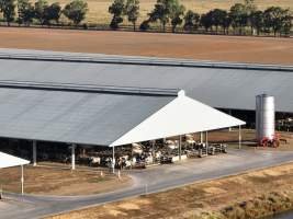 Drone Flyover - AFMH Coomboona (milking) - Located 30km northwest of Shepparton, Coomboona Farms is AFMH's first Victorian dairy property. Coomboona was formerly owned by billionaire Gerry Harvey, before being bought by AFMH, which is a partnership between the Moxey and Perick families.
The property has the capacity to milk over 2500 cows, and produce 30 million litres of milk annually. Cows are housed in freestall barns and milked in a commercial rotary dairy. The dairy is split between two locations, with one acting as a breeding, maternity and nursing facility and the other housing milking cows. - Captured at AFMH Coomboona Farms - Module 1 (milking), Coomboona VIC Australia.
