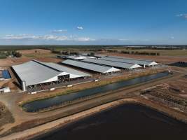 Drone Flyover - AFMH Coomboona (milking) - Located 30km northwest of Shepparton, Coomboona Farms is AFMH's first Victorian dairy property. Coomboona was formerly owned by billionaire Gerry Harvey, before being bought by AFMH, which is a partnership between the Moxey and Perick families.
The property has the capacity to milk over 2500 cows, and produce 30 million litres of milk annually. Cows are housed in freestall barns and milked in a commercial rotary dairy. The dairy is split between two locations, with one acting as a breeding, maternity and nursing facility and the other housing milking cows. - Captured at AFMH Coomboona Farms - Module 1 (milking), Coomboona VIC Australia.