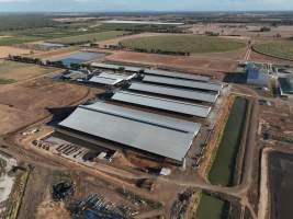 Drone Flyover - AFMH Coomboona (milking) - Located 30km northwest of Shepparton, Coomboona Farms is AFMH's first Victorian dairy property. Coomboona was formerly owned by billionaire Gerry Harvey, before being bought by AFMH, which is a partnership between the Moxey and Perick families.
The property has the capacity to milk over 2500 cows, and produce 30 million litres of milk annually. Cows are housed in freestall barns and milked in a commercial rotary dairy. The dairy is split between two locations, with one acting as a breeding, maternity and nursing facility and the other housing milking cows. - Captured at AFMH Coomboona Farms - Module 1 (milking), Coomboona VIC Australia.