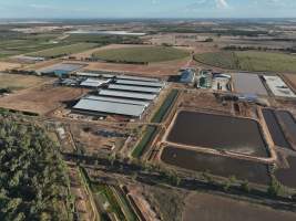 Drone Flyover - AFMH Coomboona (milking) - Located 30km northwest of Shepparton, Coomboona Farms is AFMH's first Victorian dairy property. Coomboona was formerly owned by billionaire Gerry Harvey, before being bought by AFMH, which is a partnership between the Moxey and Perick families.
The property has the capacity to milk over 2500 cows, and produce 30 million litres of milk annually. Cows are housed in freestall barns and milked in a commercial rotary dairy. The dairy is split between two locations, with one acting as a breeding, maternity and nursing facility and the other housing milking cows. - Captured at AFMH Coomboona Farms - Module 1 (milking), Coomboona VIC Australia.