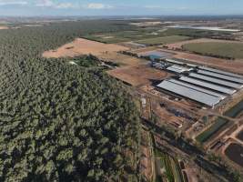 Drone Flyover - AFMH Coomboona (milking) - Located 30km northwest of Shepparton, Coomboona Farms is AFMH's first Victorian dairy property. Coomboona was formerly owned by billionaire Gerry Harvey, before being bought by AFMH, which is a partnership between the Moxey and Perick families.
The property has the capacity to milk over 2500 cows, and produce 30 million litres of milk annually. Cows are housed in freestall barns and milked in a commercial rotary dairy. The dairy is split between two locations, with one acting as a breeding, maternity and nursing facility and the other housing milking cows. - Captured at AFMH Coomboona Farms - Module 1 (milking), Coomboona VIC Australia.