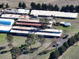 Drone Flyover June 2025 - Captured at Josh's Rainbow Eggs, Monegeetta VIC Australia.