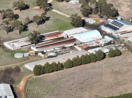 Drone Flyover June 2025 - Captured at Josh's Rainbow Eggs, Monegeetta VIC Australia.