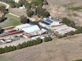 Drone Flyover June 2025 - Captured at Josh's Rainbow Eggs, Monegeetta VIC Australia.