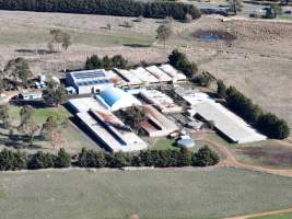 Drone Flyover June 2025 - Captured at Josh's Rainbow Eggs, Monegeetta VIC Australia.