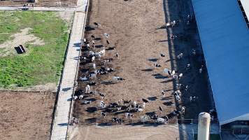 Leppington Pastoral Drone Shots - Captured at Leppington Pastoral Company, Greendale NSW Australia.