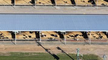 Leppington Pastoral Drone Shots - Captured at Leppington Pastoral Company, Greendale NSW Australia.