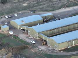 Drone Flyover June 2025 - Captured at Pace Battery Hens, Hopefield NSW Australia.