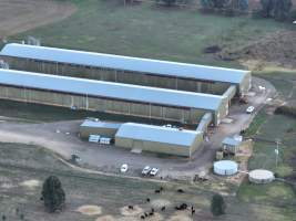 Drone Flyover June 2025 - Captured at Pace Battery Hens, Hopefield NSW Australia.