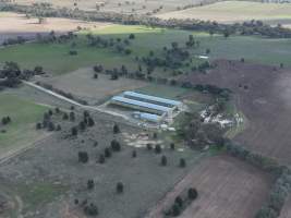 Drone Flyover June 2025 - Captured at Pace Battery Hens, Hopefield NSW Australia.
