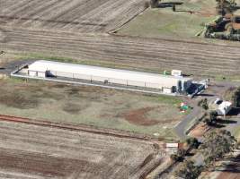 Captured at Bridgewater Poultry (Egg) Farm, Bridgewater VIC Australia.