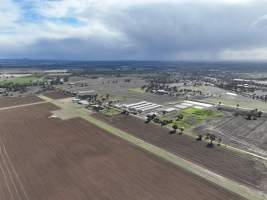 Captured at Bridgewater Poultry (Egg) Farm, Bridgewater VIC Australia.