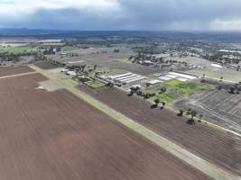 Captured at Bridgewater Poultry (Egg) Farm, Bridgewater VIC Australia.
