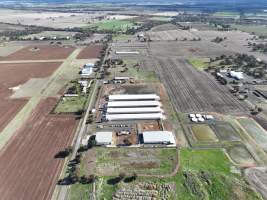 Captured at Bridgewater Poultry (Egg) Farm, Bridgewater VIC Australia.