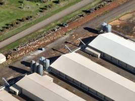 Captured at Bridgewater Poultry (Egg) Farm, Bridgewater VIC Australia.