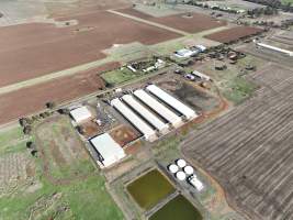 Captured at Bridgewater Poultry (Egg) Farm, Bridgewater VIC Australia.