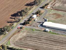 Captured at Bridgewater Poultry (Egg) Farm, Bridgewater VIC Australia.