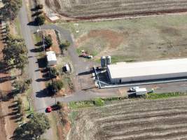 Captured at Bridgewater Poultry (Egg) Farm, Bridgewater VIC Australia.