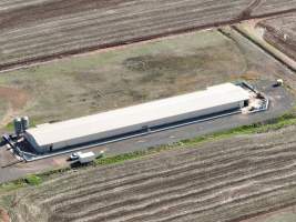 Captured at Bridgewater Poultry (Egg) Farm, Bridgewater VIC Australia.