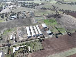 Captured at Bridgewater Poultry (Egg) Farm, Bridgewater VIC Australia.