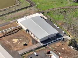 Captured at Bridgewater Poultry (Egg) Farm, Bridgewater VIC Australia.
