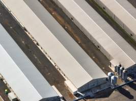 Captured at Bridgewater Poultry (Egg) Farm, Bridgewater VIC Australia.