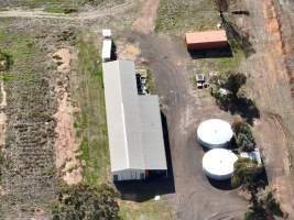 Captured at Bridgewater Poultry (Egg) Farm, Bridgewater VIC Australia.