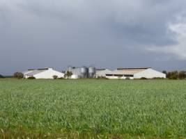 Real estate listing photo - Photo of piggery from a 2015 real estate listing (https://www.realestate.com.au/sold/property-livestock-sa-eudunda-7679119). - Captured at Brownlow Piggery - Grower Site, Brownlow SA Australia.