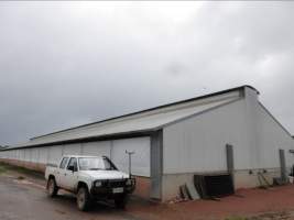 Real estate listing photo - Photo of piggery from a 2015 real estate listing (https://www.realestate.com.au/sold/property-livestock-sa-eudunda-7679119). - Captured at Brownlow Piggery - Breeder Site, Brownlow SA Australia.